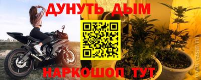индика Пугачёв