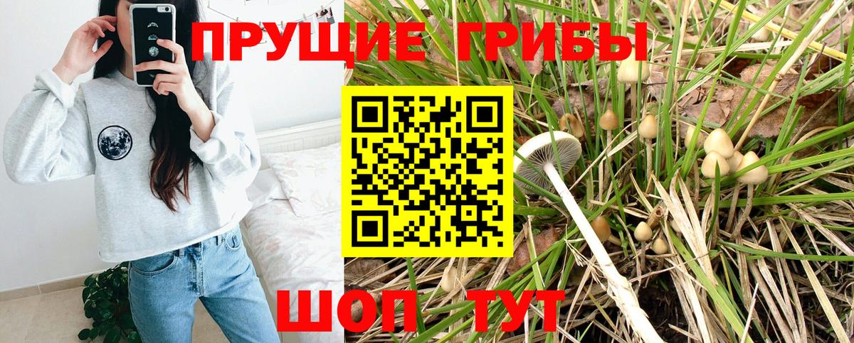 Псилоцибиновые грибы прущие грибы  Галлюциногенные грибы Cubensis  Вход с VPN  Сосновоборск 